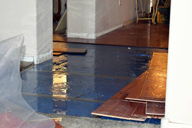 Professional Burst Pipe Cleanup technician working in De Soto, IL